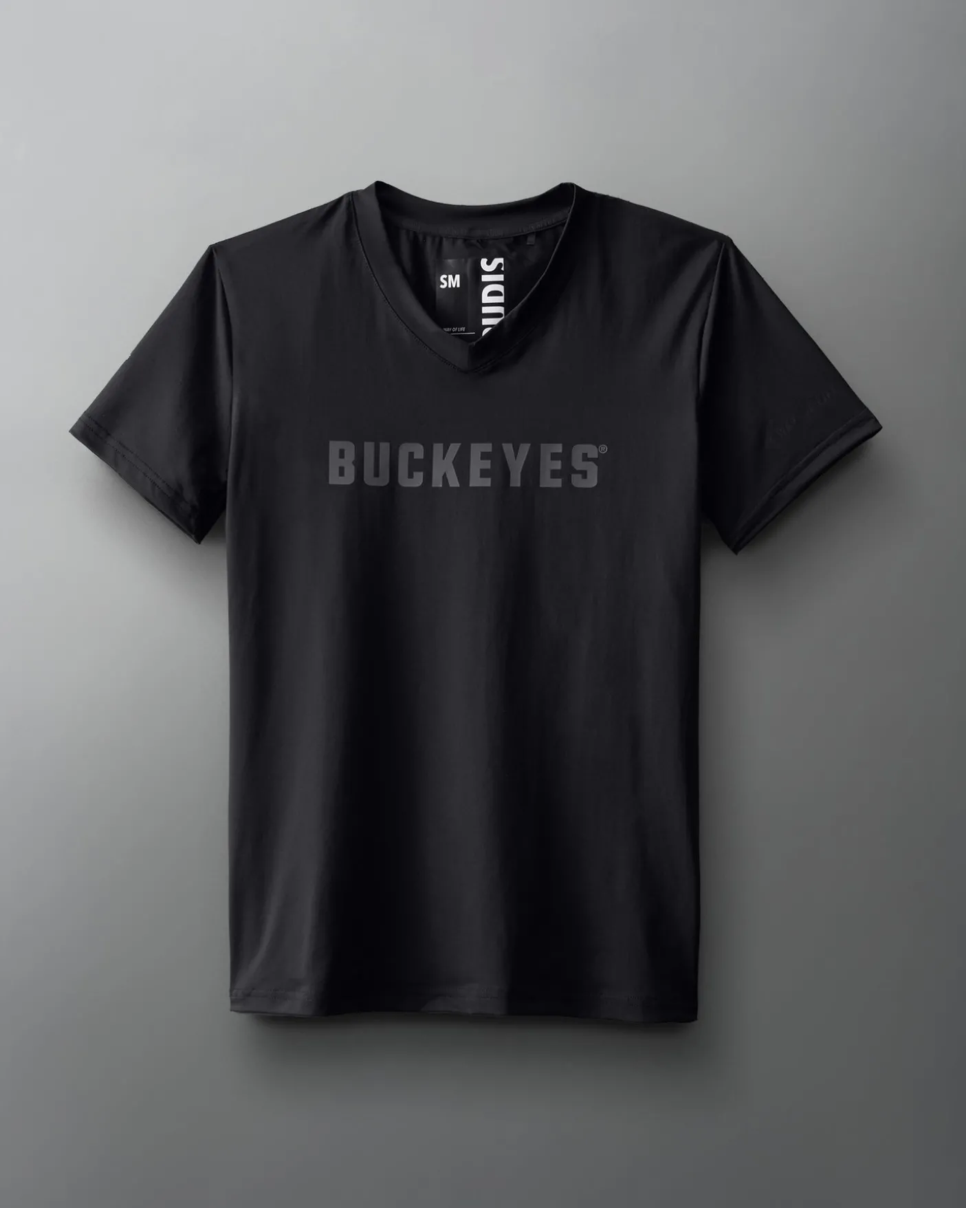 Buckeyes Performance Women's V-Neck T-Shirt