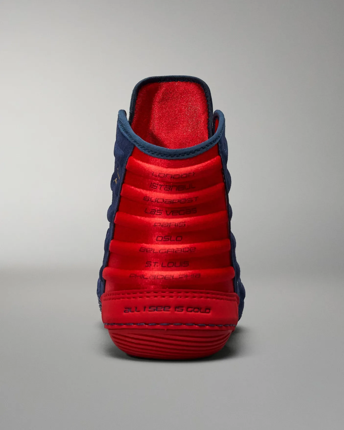 RUDIS JB Ultra Adult Wrestling Shoes - The Dream