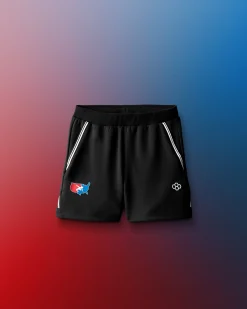 USA Wrestling Chronicle 5