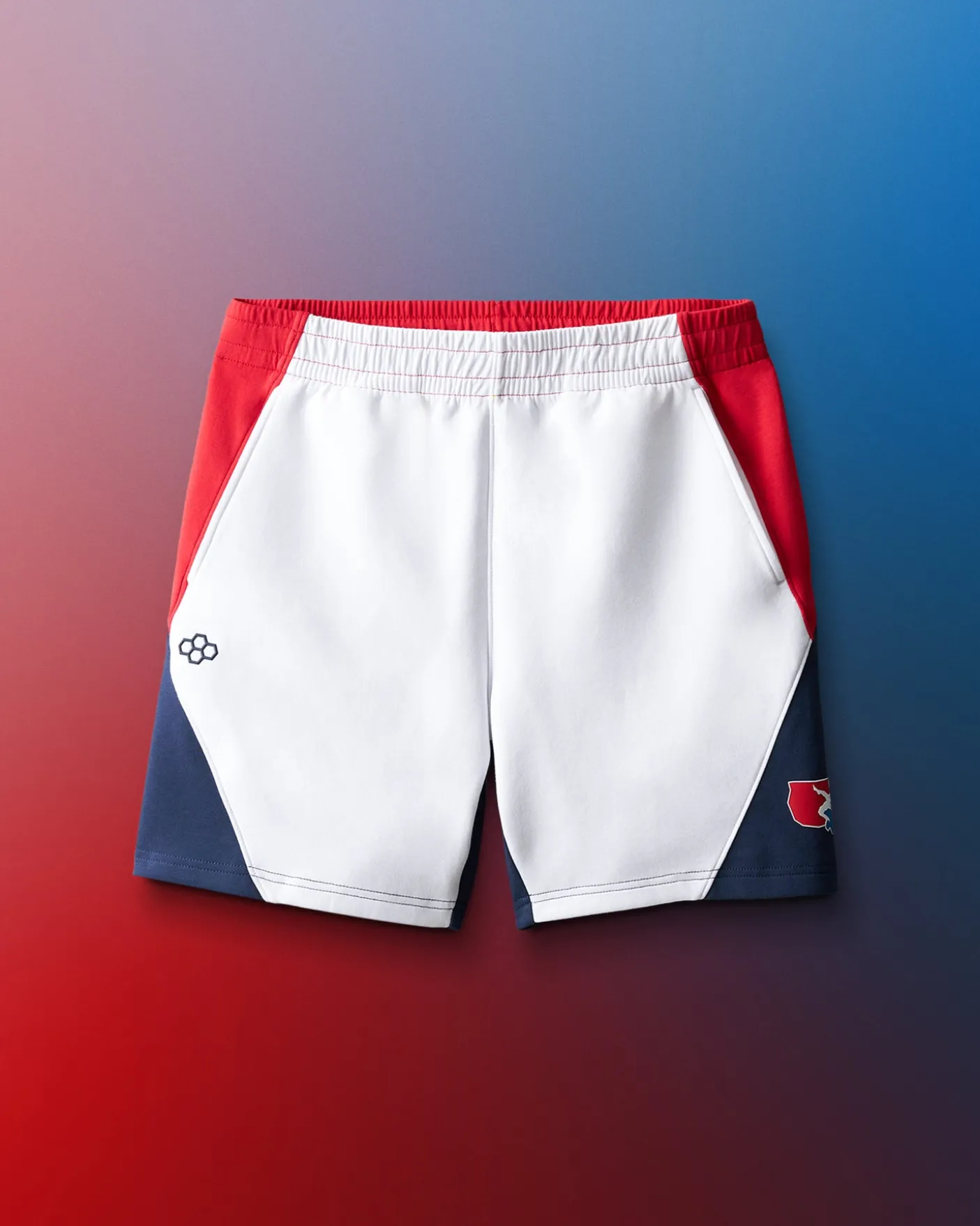 USA Wrestling Colorblock 5" Shorts