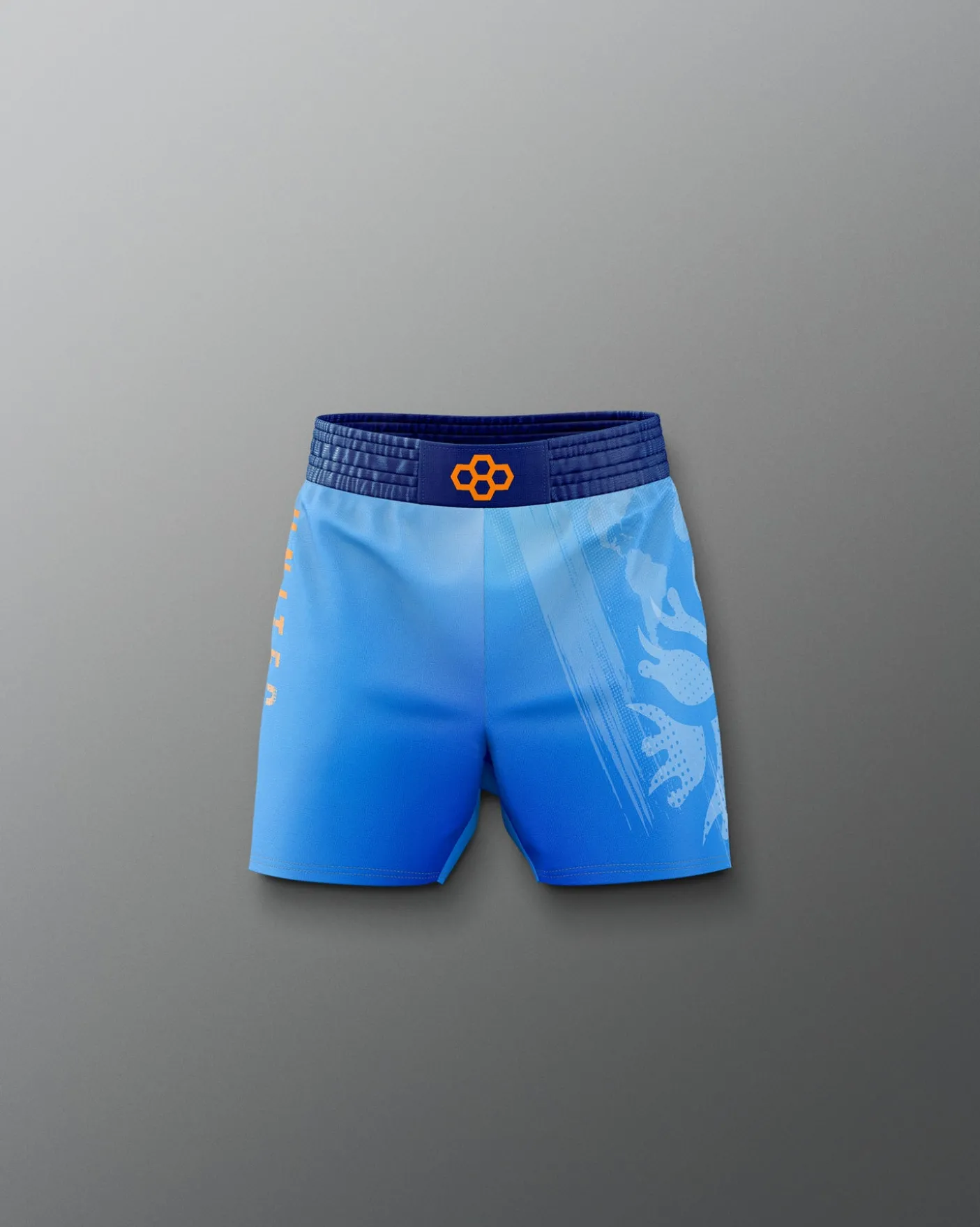 UWW Gradient Boy's Elite Shorts