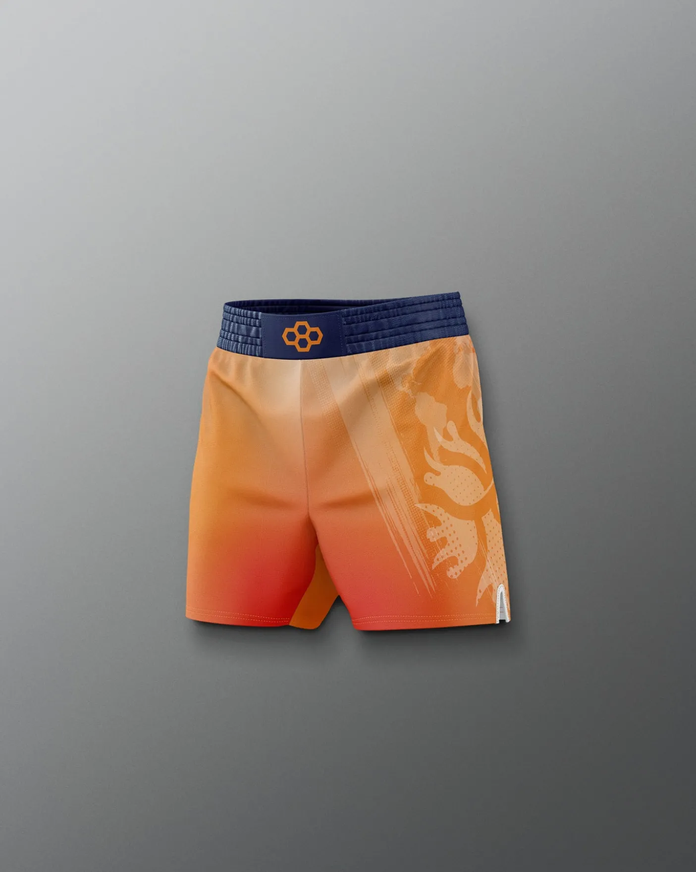 UWW Gradient Boy's Elite Shorts