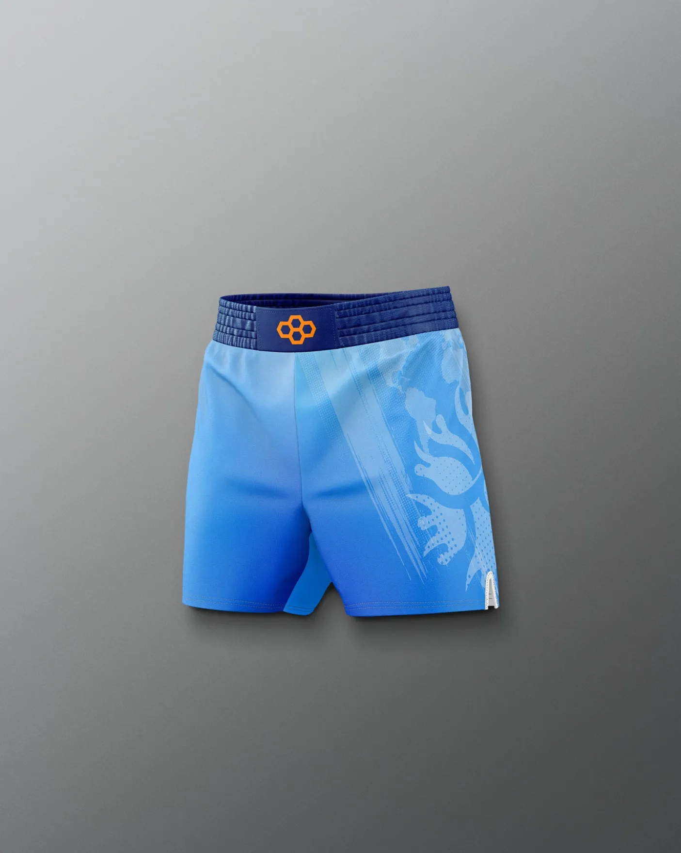 UWW Gradient Boy's Elite Shorts